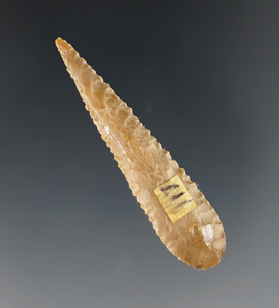 Main artifact image
