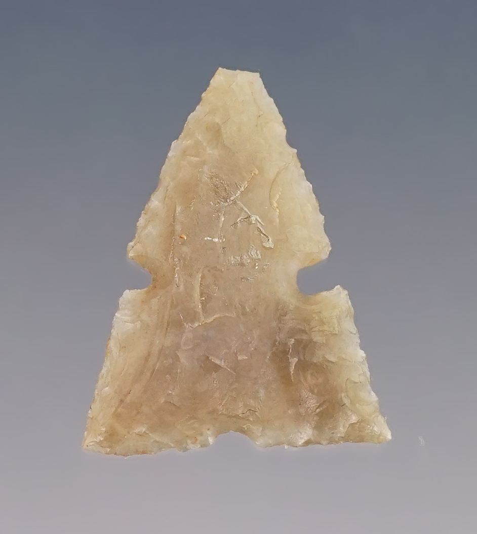 Main artifact image