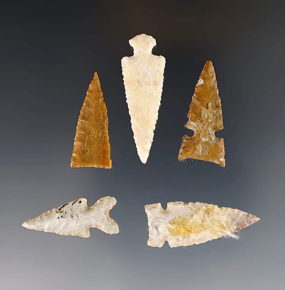Main artifact image