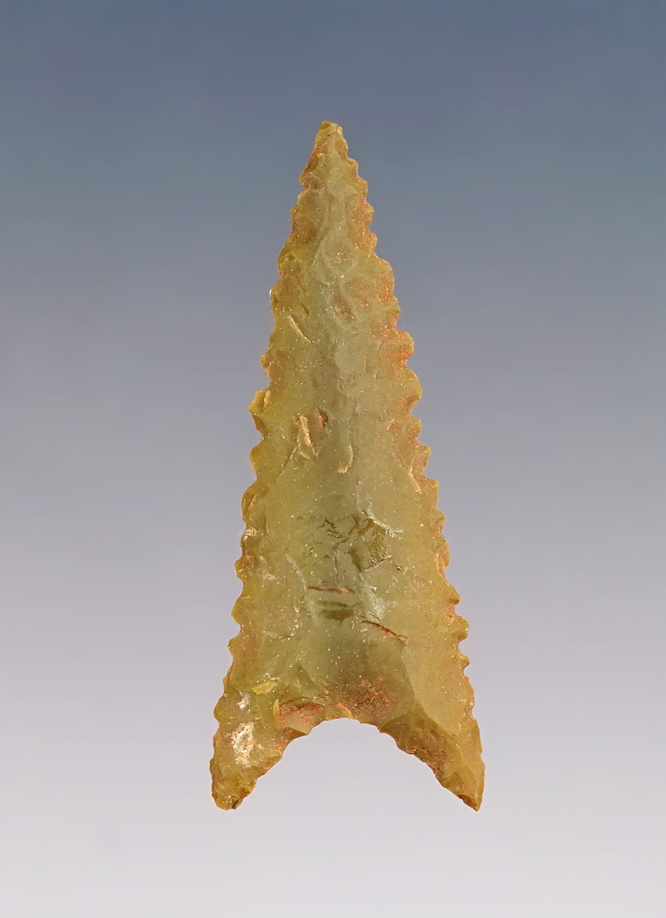 Main artifact image