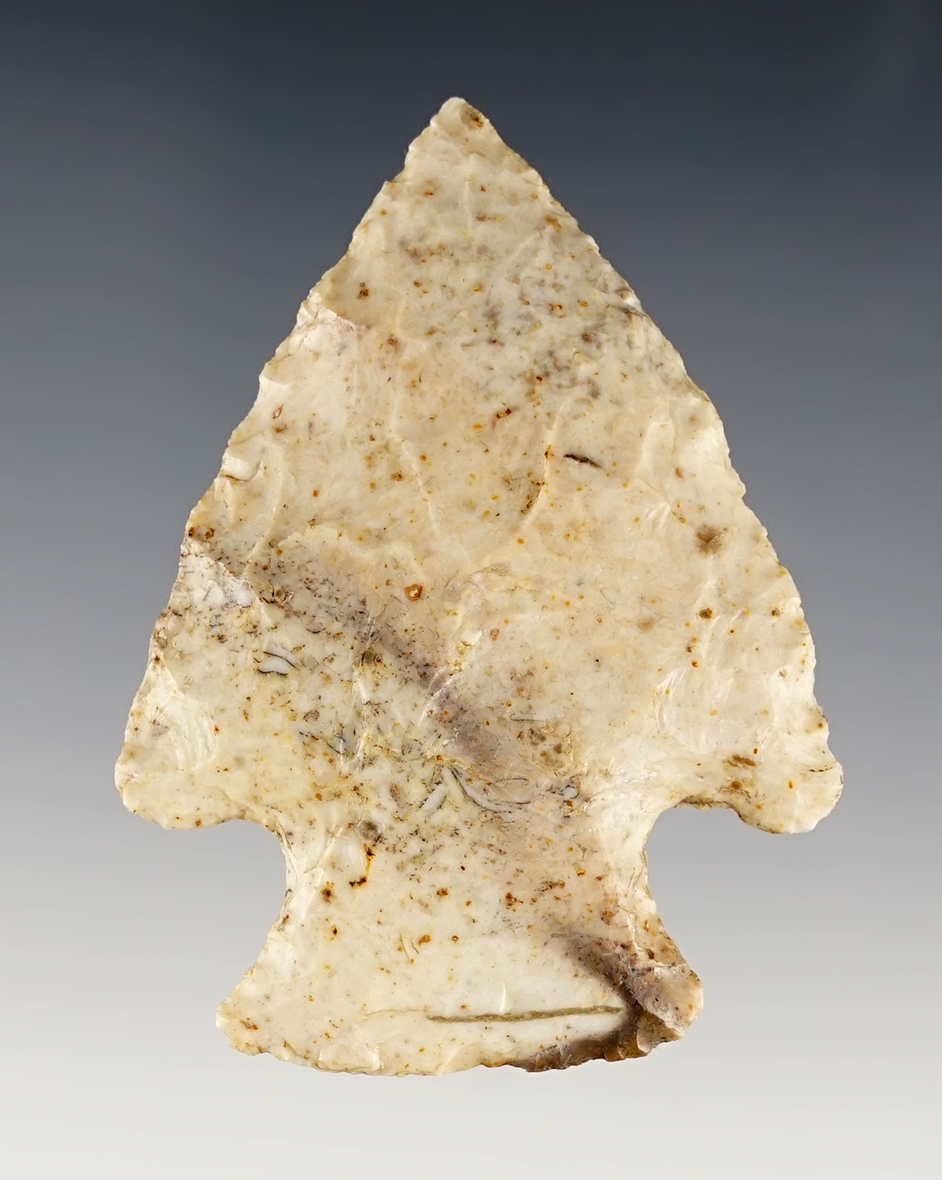 Main artifact image