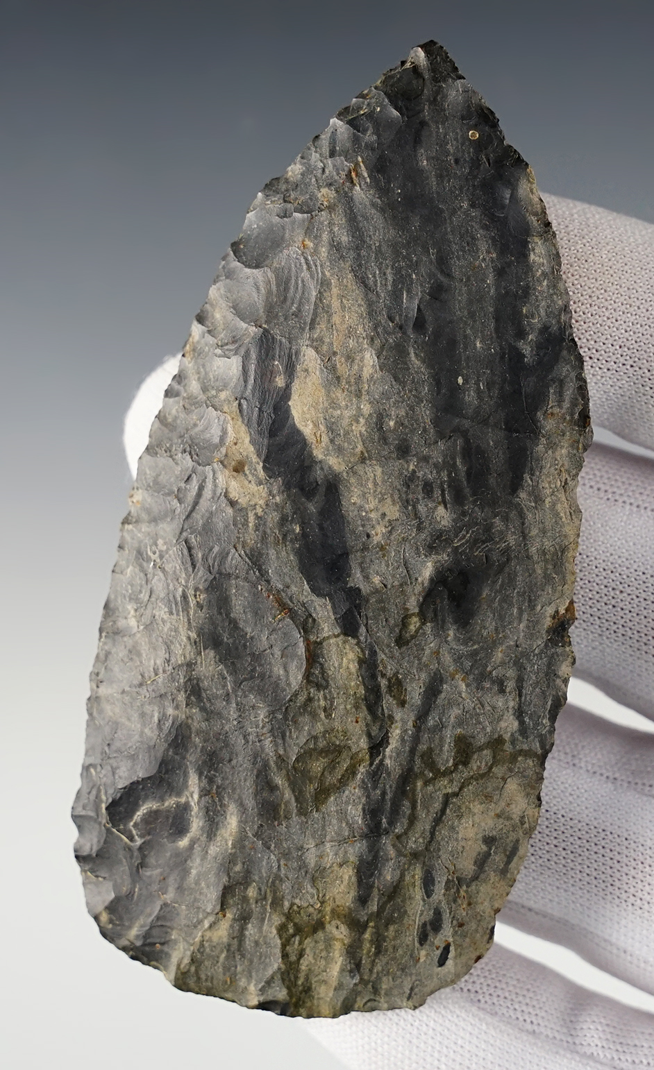 Main artifact image