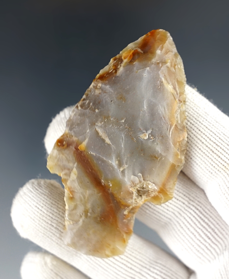 Main artifact image