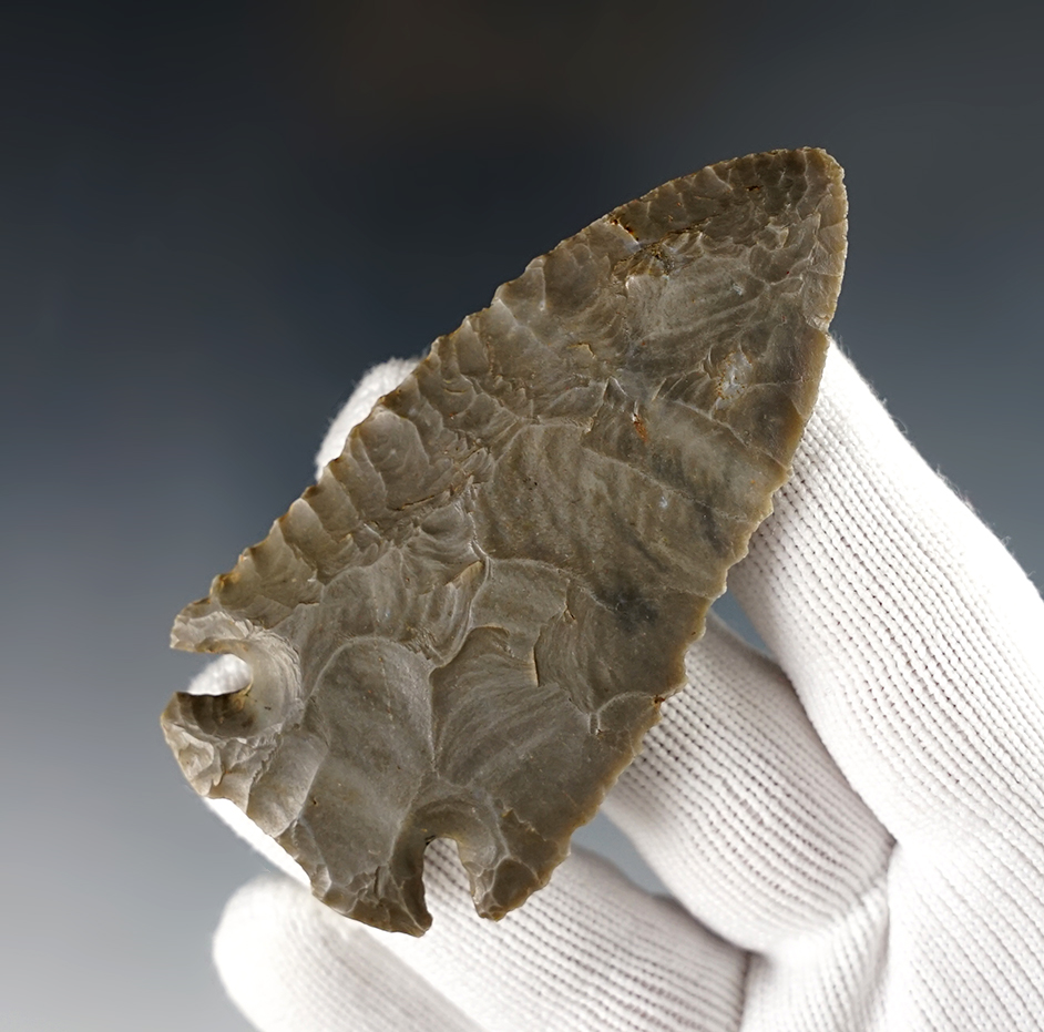 Main artifact image