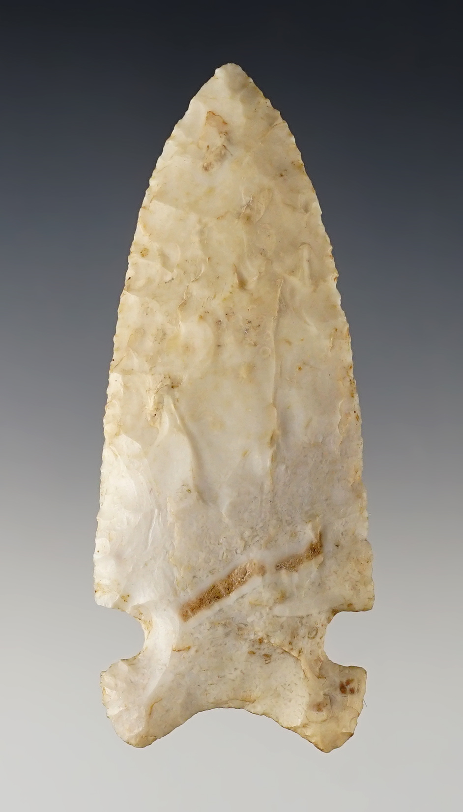 Main artifact image