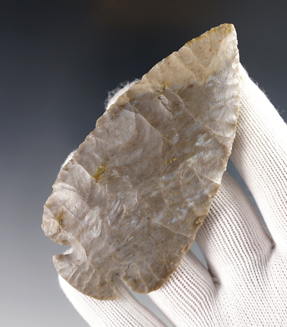 Main artifact image