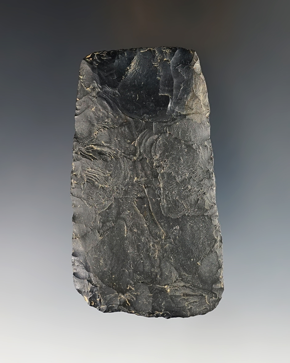 Main artifact image