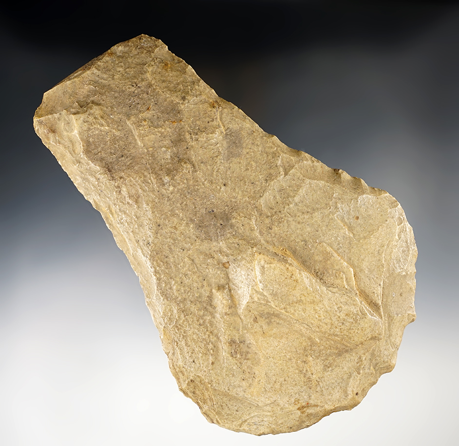 Main artifact image