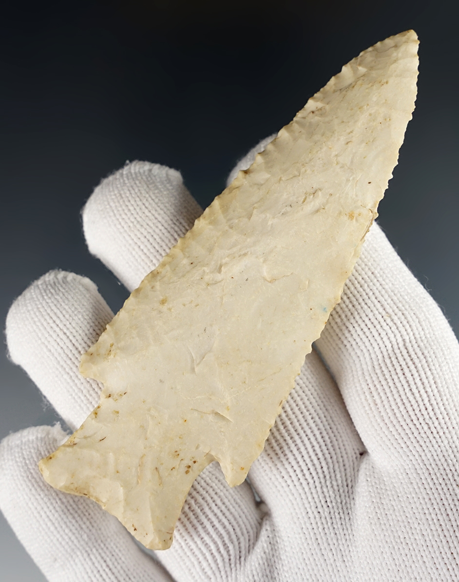Main artifact image