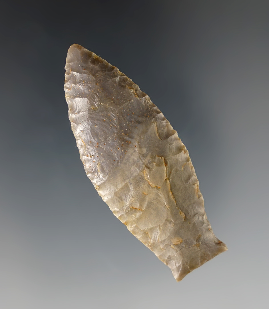 Main artifact image
