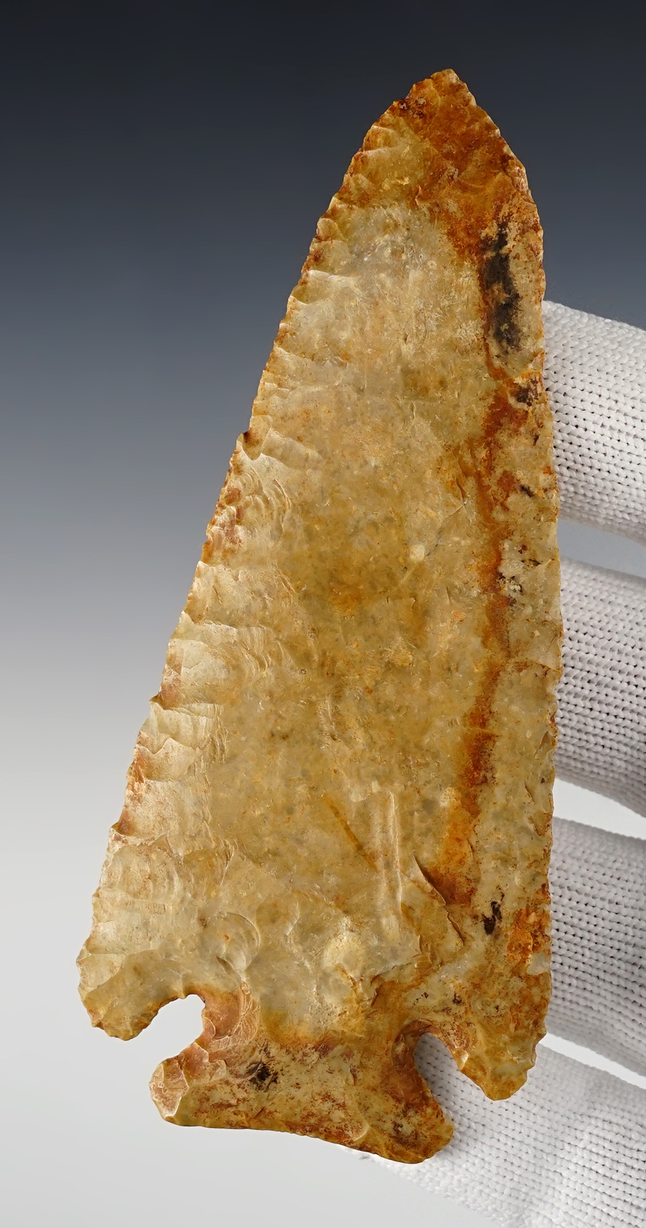 Main artifact image