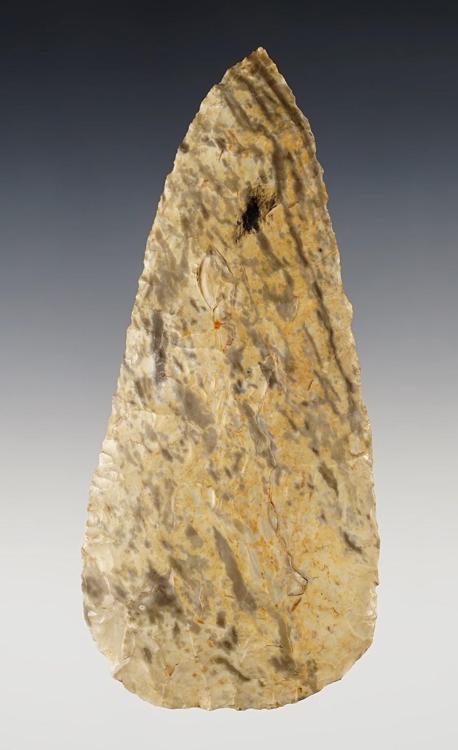 Main artifact image