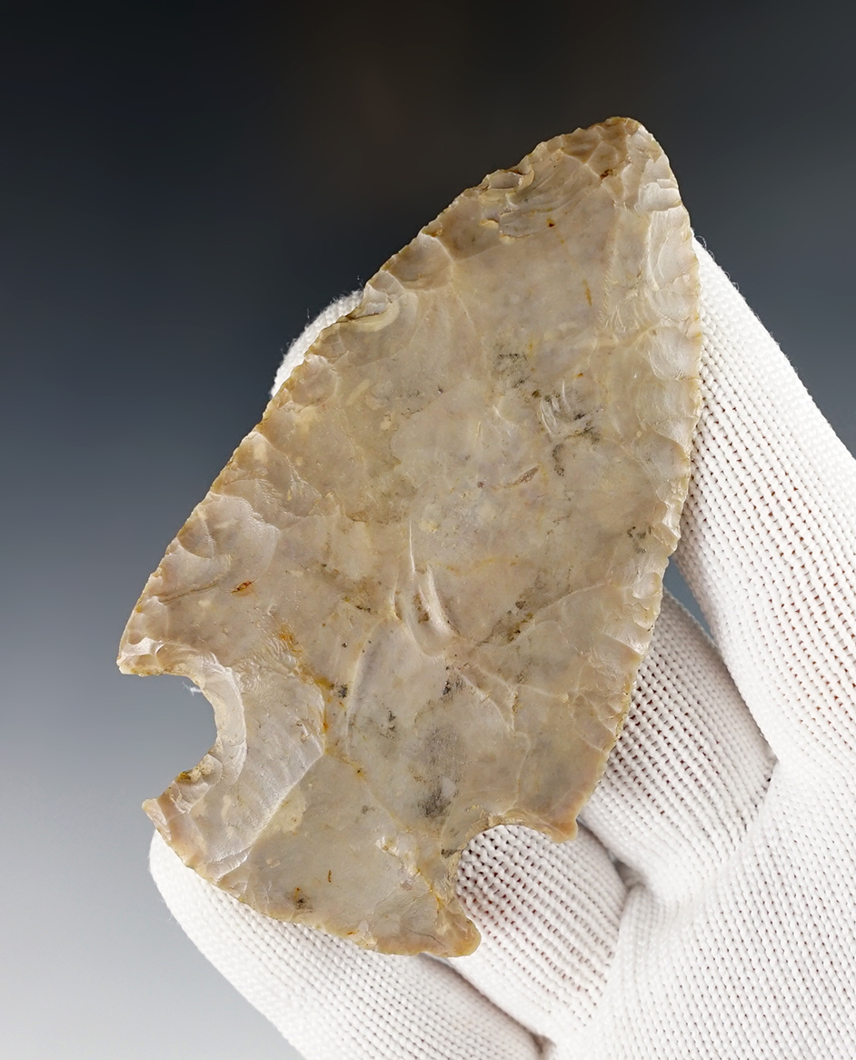 Main artifact image