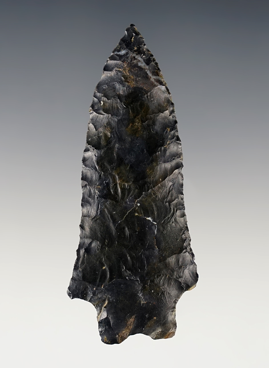 Main artifact image