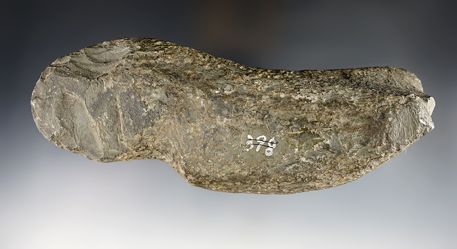 Main artifact image