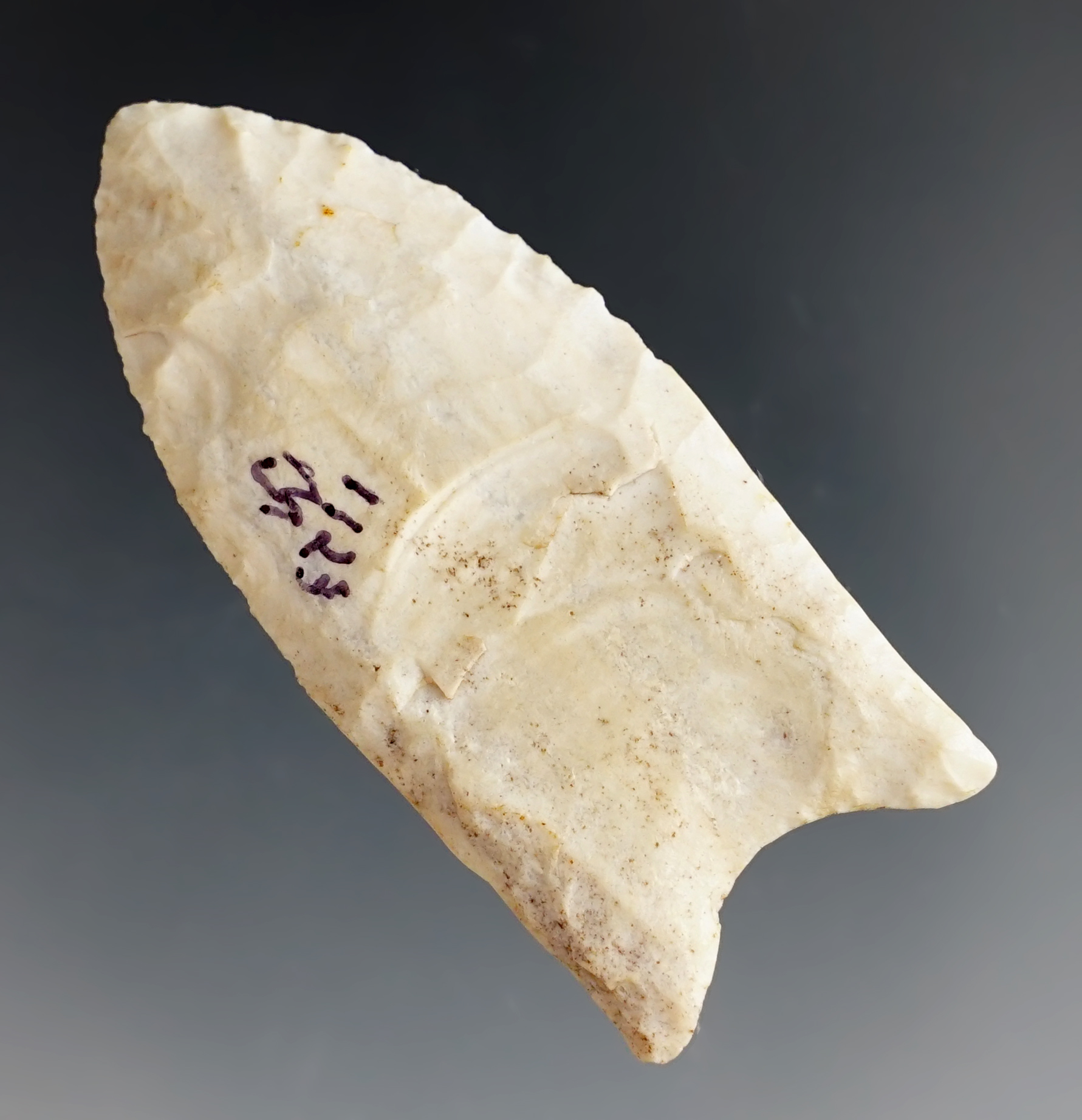 Main artifact image