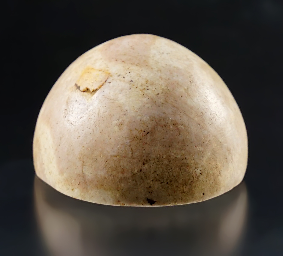Main artifact image