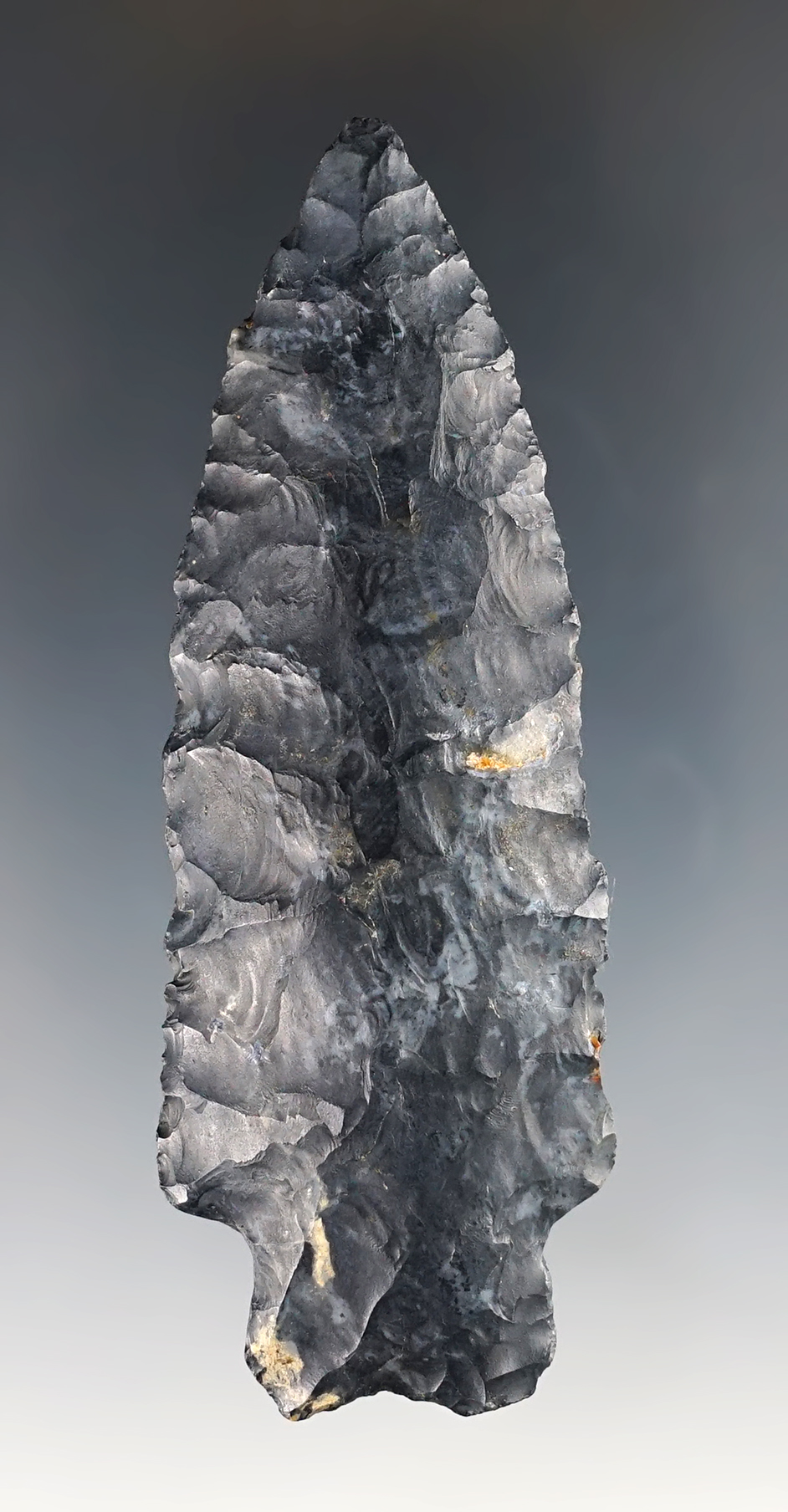 Main artifact image