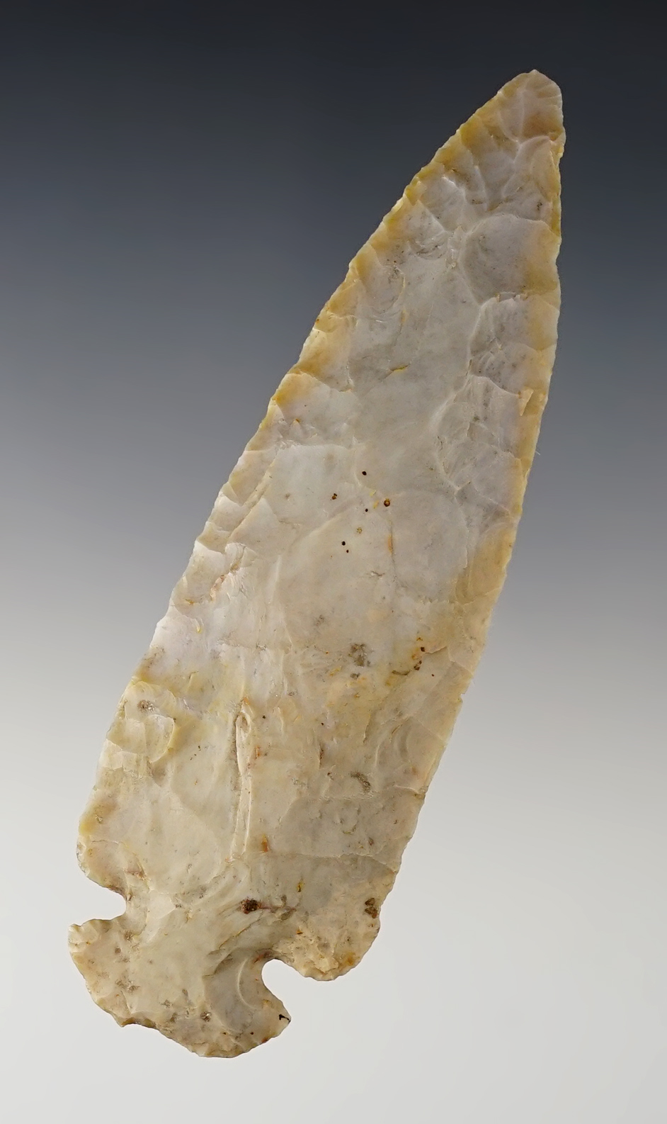 Main artifact image