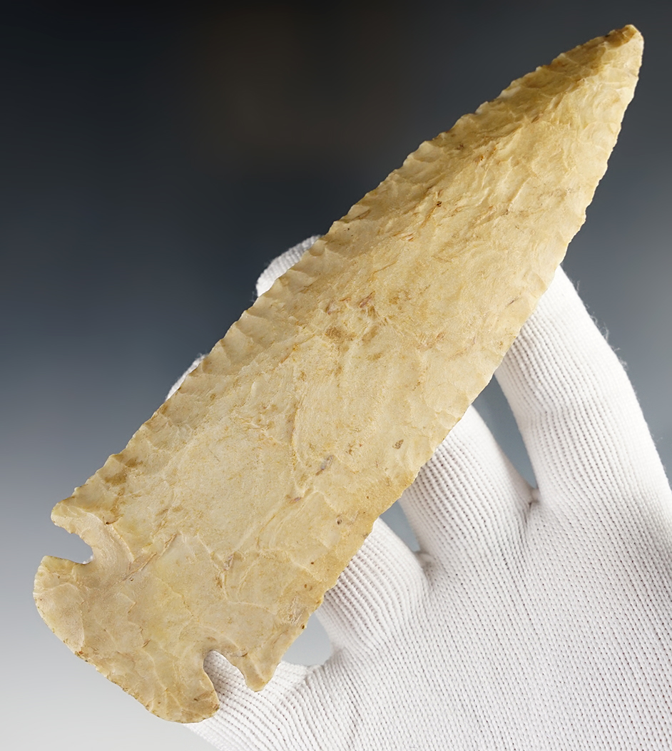 Main artifact image