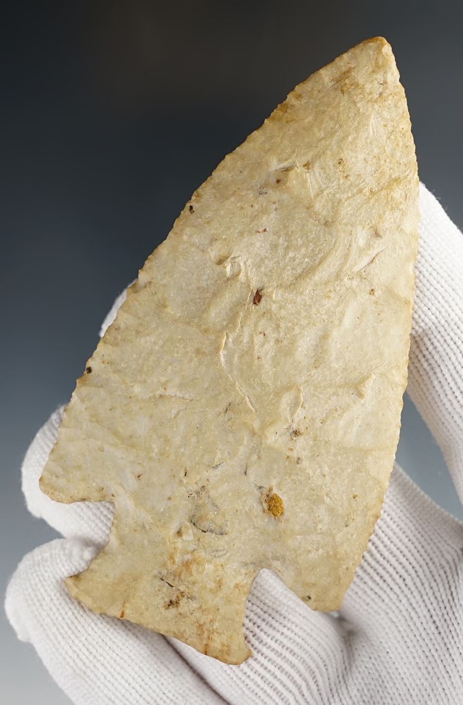 Main artifact image