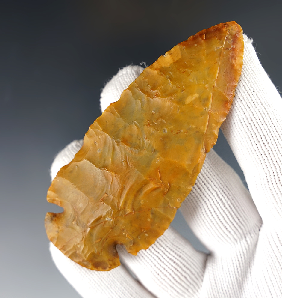 Main artifact image