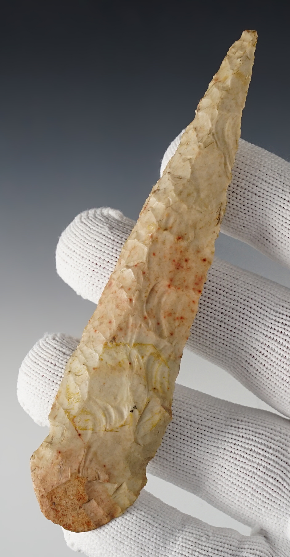 Main artifact image