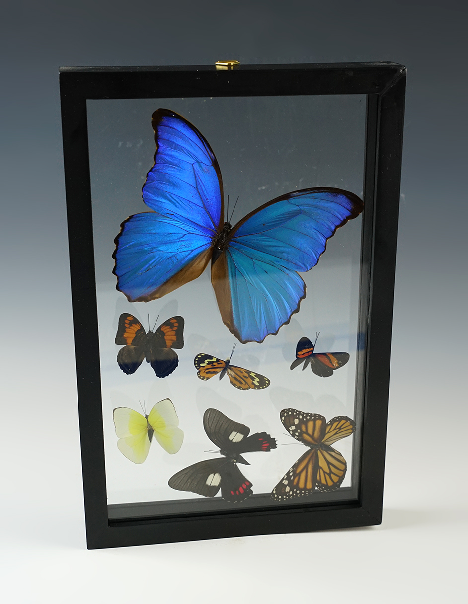 Main artifact image