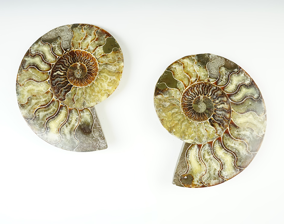 Main artifact image