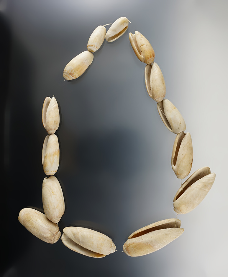 Main artifact image