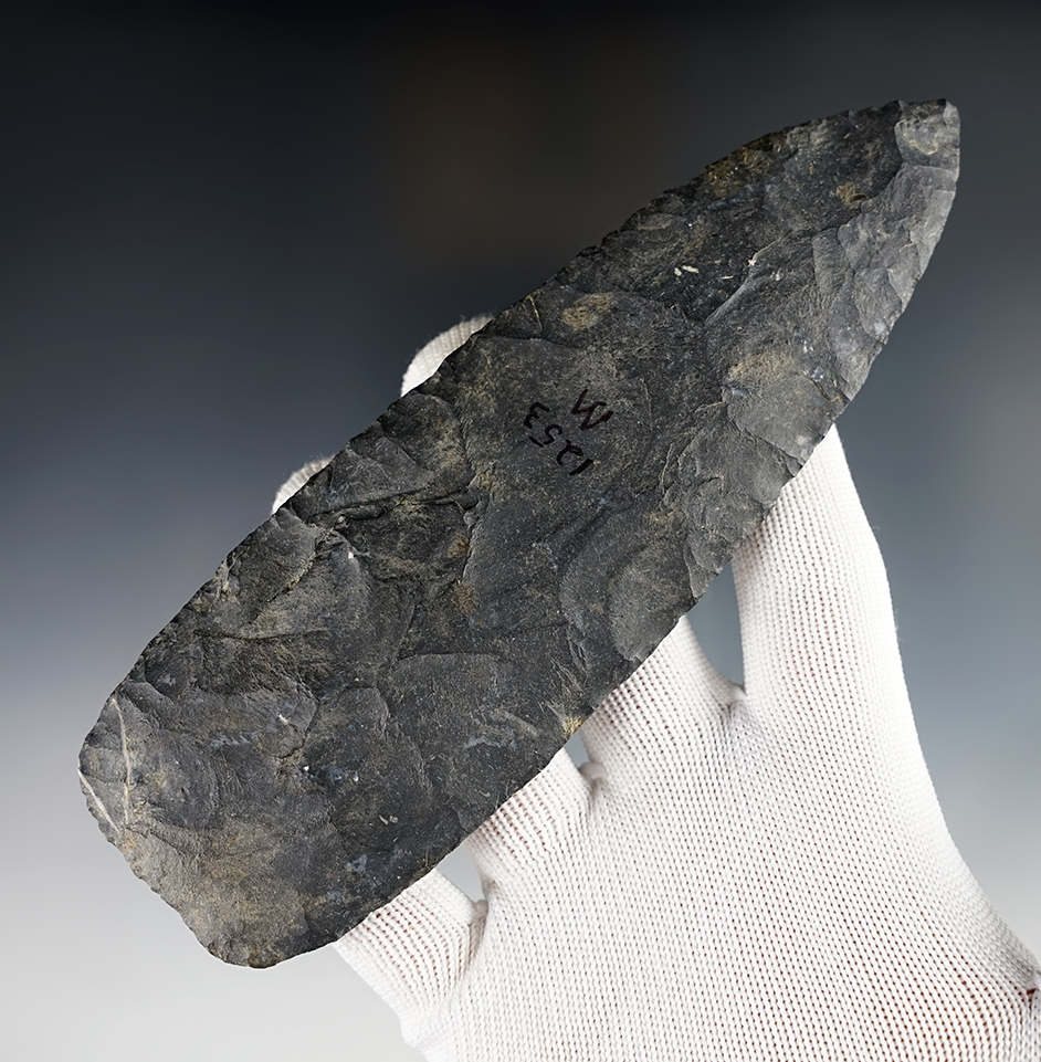 Main artifact image