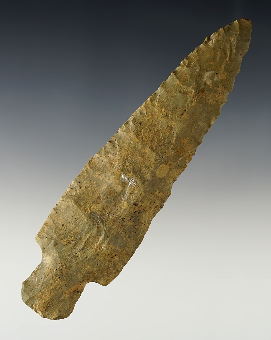 Main artifact image