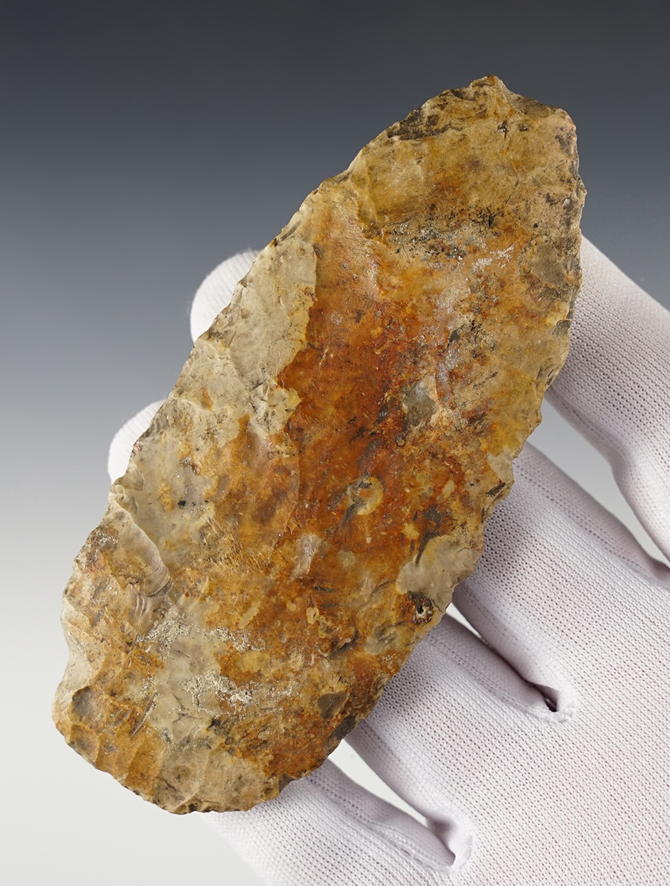 Main artifact image
