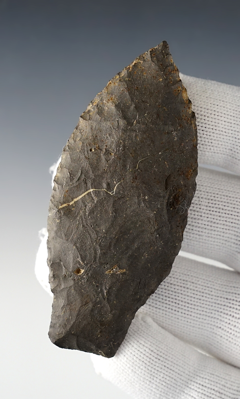Main artifact image