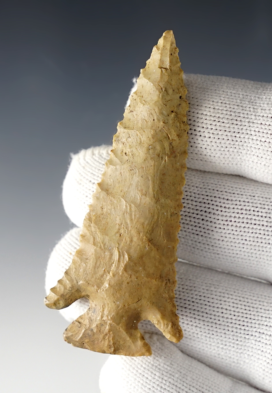 Main artifact image