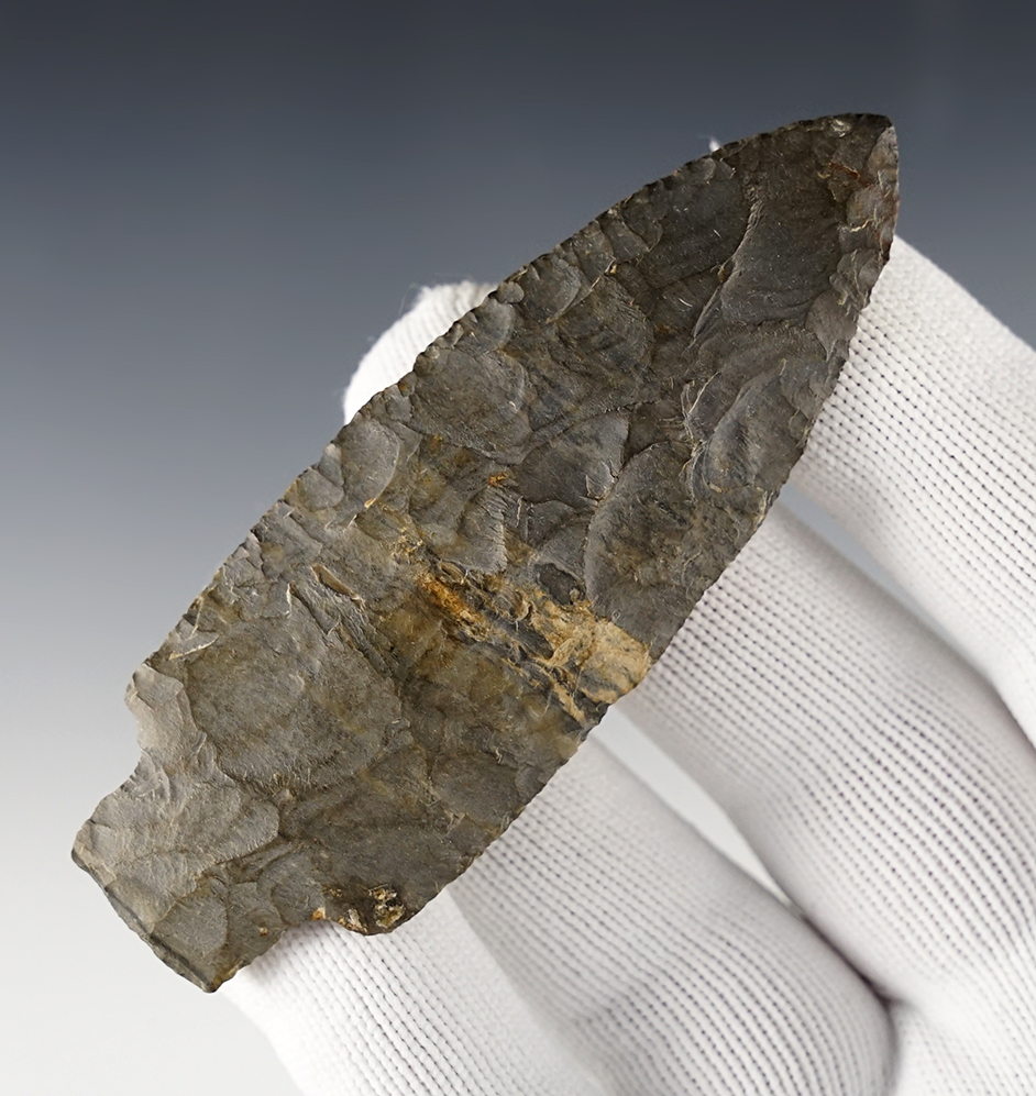 Main artifact image