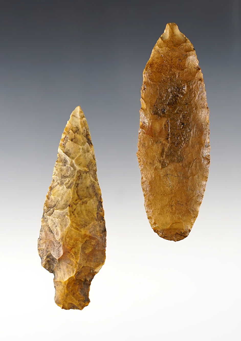 Main artifact image