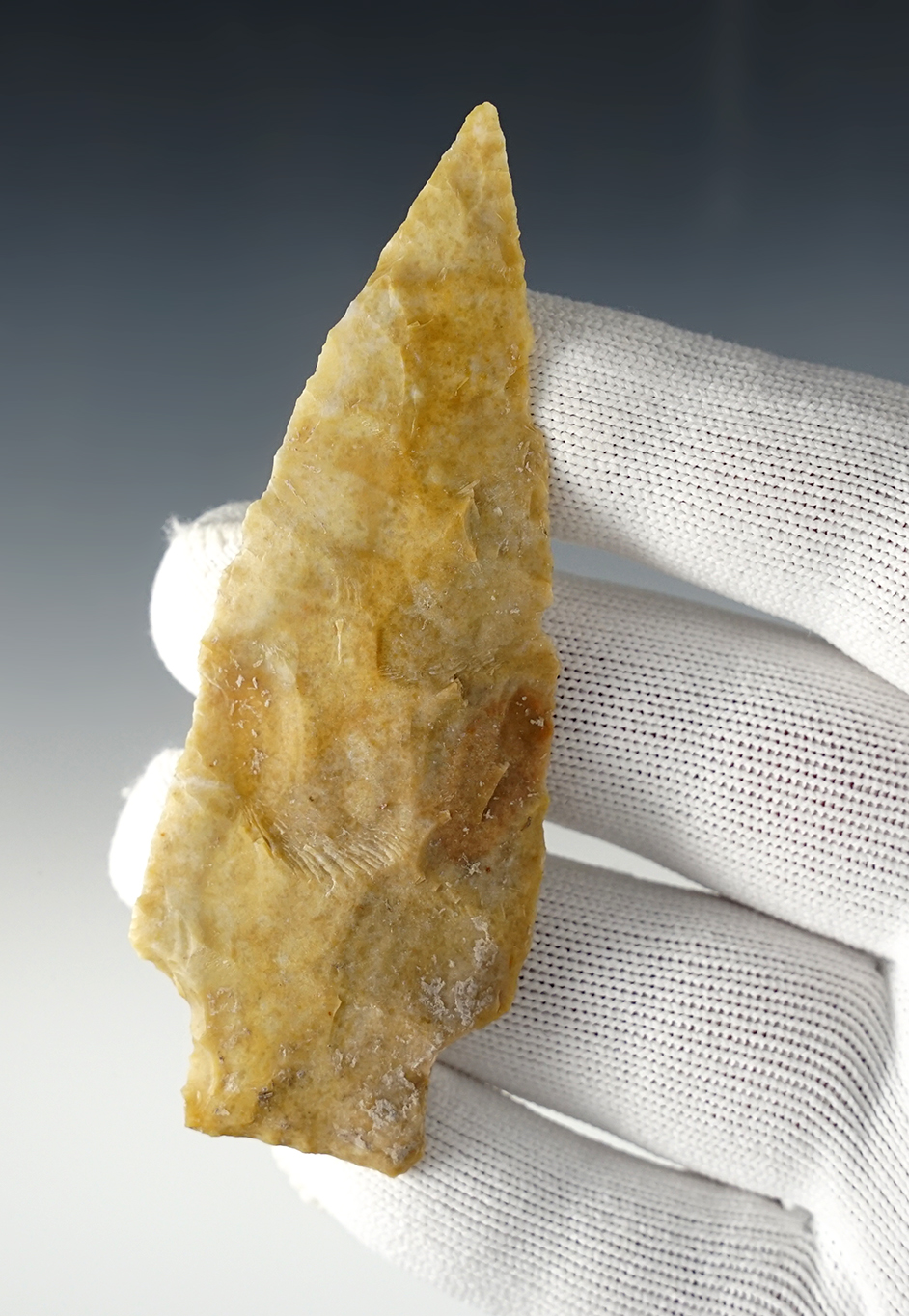 Main artifact image