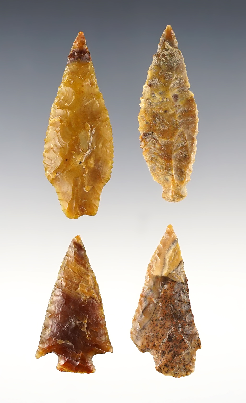 Main artifact image