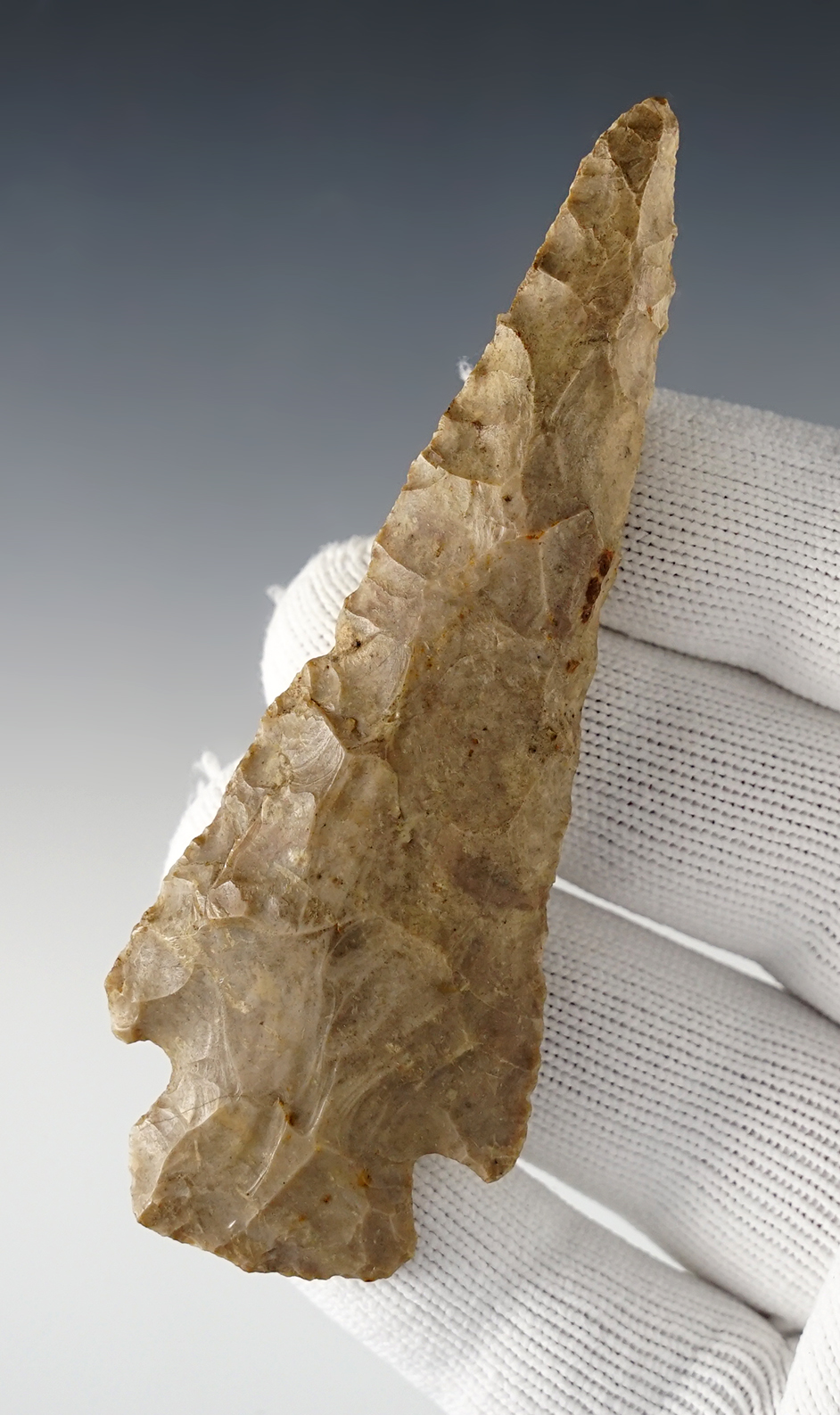 Main artifact image