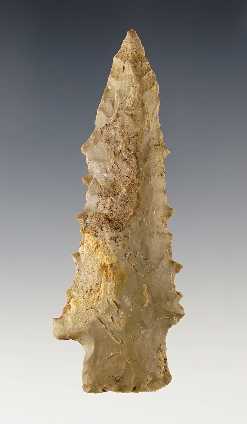 Main artifact image