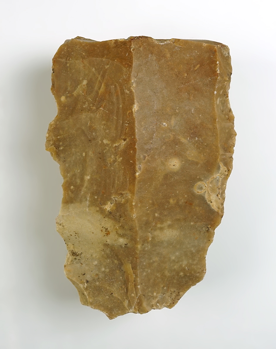 Main artifact image