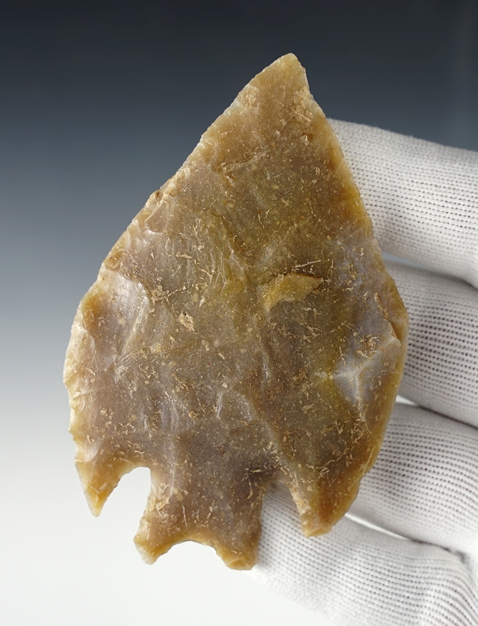 Main artifact image