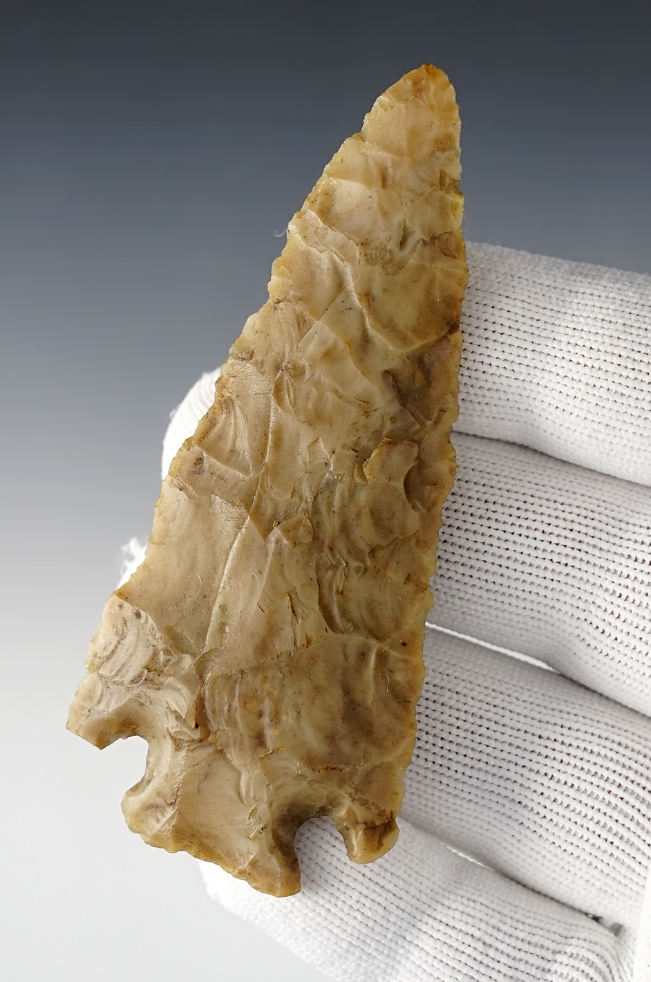 Main artifact image