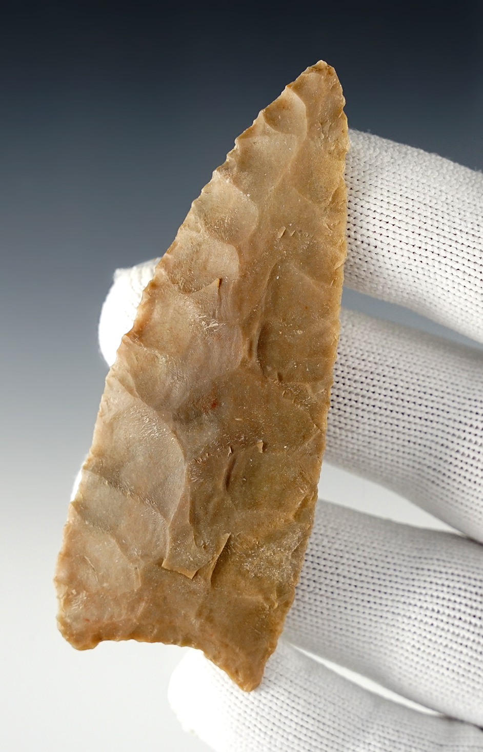 Main artifact image