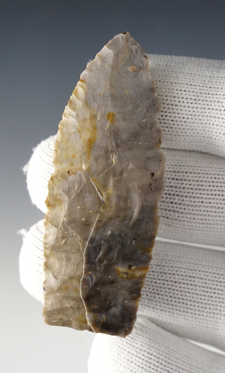 Main artifact image