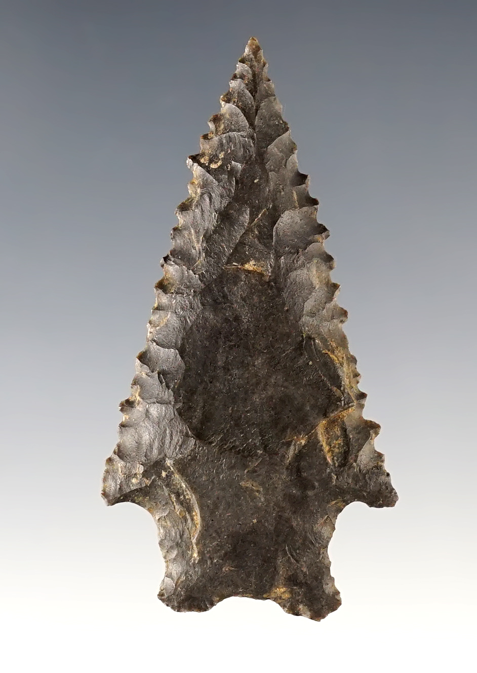Main artifact image