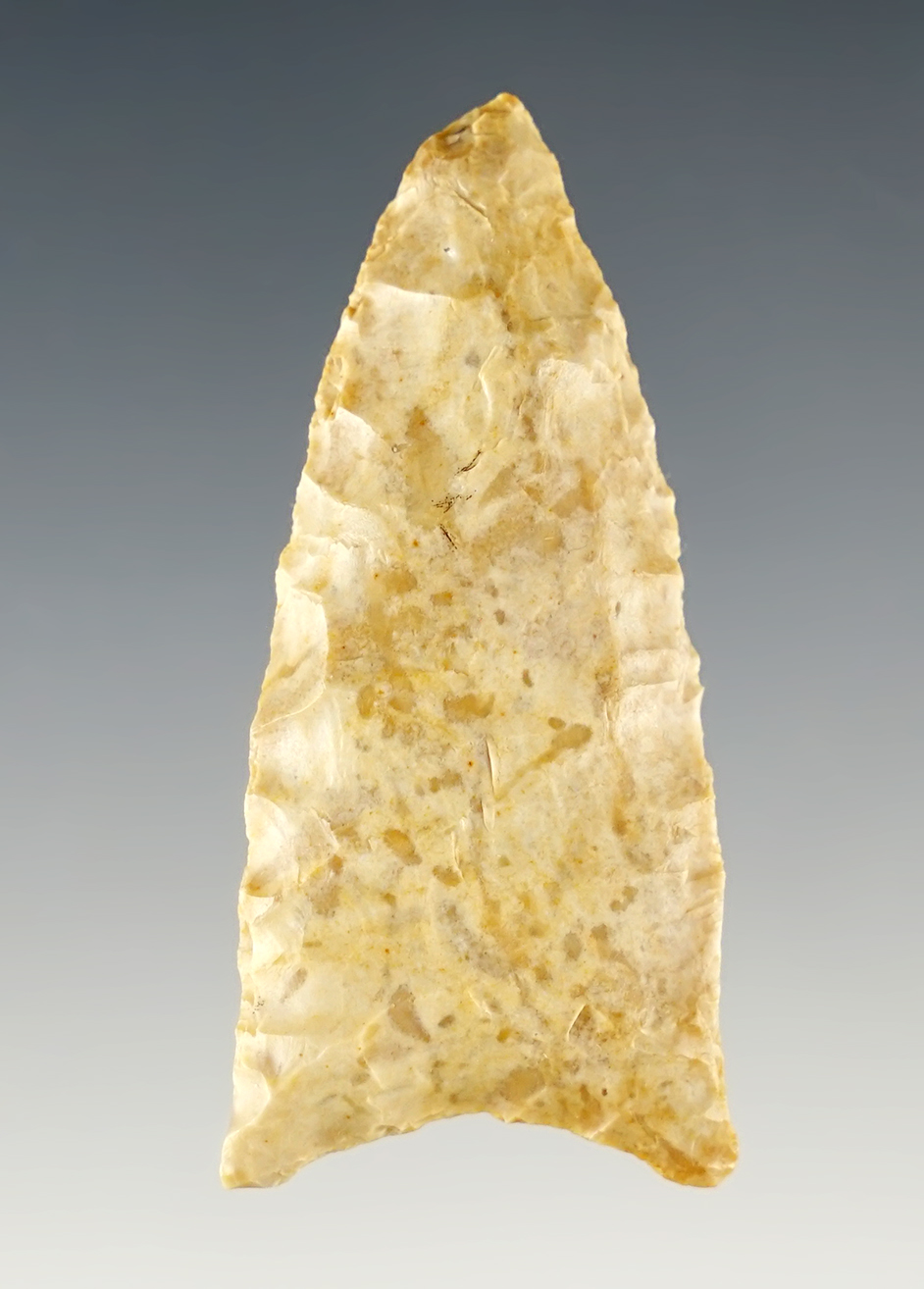 Main artifact image