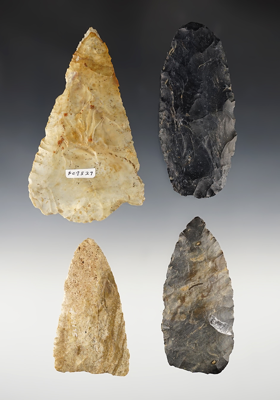 Main artifact image
