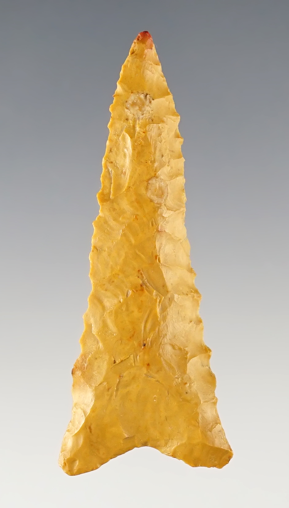 Main artifact image